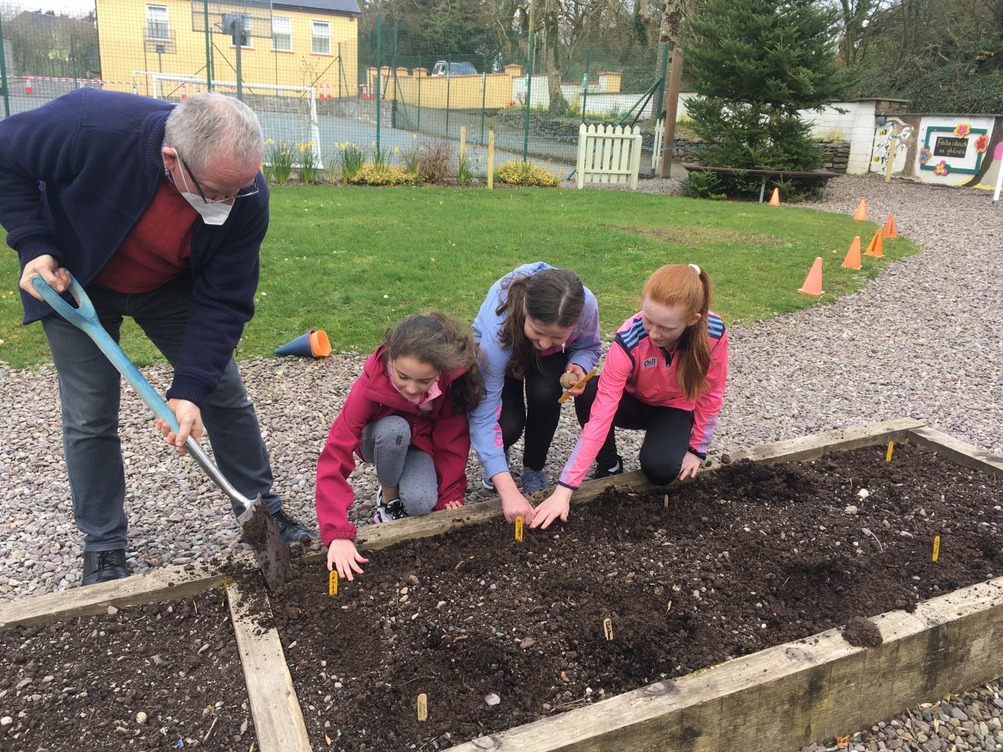 Our School Garden! by Rick Swann Our School Garden! by Rick Swann